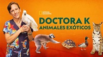 Ver los episodios completos de Doctora K: animales exóticos | Disney+