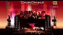 David Gilmour -Echoes Live in Gdansk (HQ) - YouTube