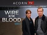 Prime Video: Wire In the Blood - Season 5
