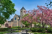 Niagara University Academic Overview