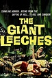 Attack of the Giant Leeches Pictures - Rotten Tomatoes