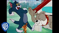 Tom y Jerry en Español | La noche divertida | WB Kids - YouTube