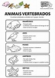 Meu Cantinho Preferido: Animais vertebrados