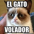 Meme Grumpy Cat - El GATO Volador - 32475057