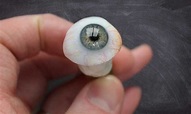 Five Types of Artificial Eyes – Why You Might Need a Prosthesis
