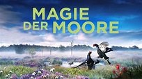 Magie der Moore - Trailer 1 [HD] Deutsch / German - YouTube
