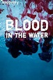 Watch Blood in the Water Online | Putlocker