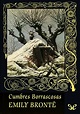 Cumbres Borrascosas - Emily Brontë - Libro completo en PDF | Alianza ...