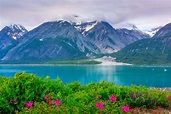 Glacier Bay Nationalpark in Alaska, USA | Franks Travelbox