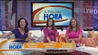 ¡Así fue el gran debut de A Primera Hora! | Video | Univision 34 Los ...