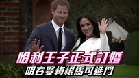 哈利王子正式宣告訂婚 明年春天娶梅根馬可進門 | 台灣蘋果日報 - YouTube