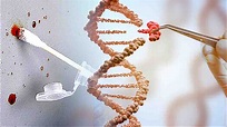 El ADN y la genética forense ¿Qué utilidad tiene el ADN en la ...