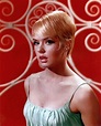 Joey Heatherton: American Sex Symbol of the 1960s and 1970s ~ Vintage ...