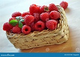 Raspberries in the basket stock photo. Image of dessert - 21572738