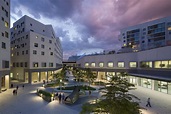 New York University Abu Dhabi | Rafael Viñoly Architects | Exterior of ...