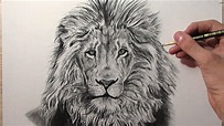 Top 31+ imagen realista dibujos de leones a lapiz - Abzlocal.mx