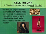 Cell Theory