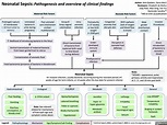 Neonatal Sepsis: Pathogenesis, and Overview of Clinical Findings ...