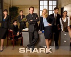 Shark. Serie de TV (2006-2008). 2 temporadas. 38 episodios. Stark ...