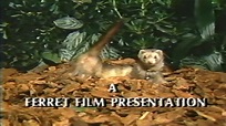 Ferret Films - Audiovisual Identity Database