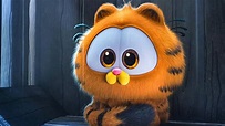 The Garfield Movie - Official Trailer (2024) Chris Pratt - YouTube