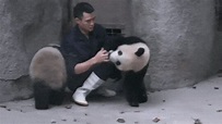 Bears Zookeeper GIF - Find & Share on GIPHY