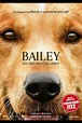 Bailey - Ein Freund fürs Leben (2017) | Film, Trailer, Kritik