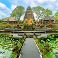 Explore The Stunningly Beautiful Ubud, Bali | Ubud, Ubud indonesia, Bali