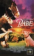 Ein Schweinchen namens Babe: DVD oder Blu-ray leihen - VIDEOBUSTER.de
