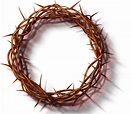 Download Crown Of Thorns Png Photo Transparent Crown - vrogue.co