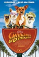 Galería de imágenes de la película Un Chihuahua en Beverly Hills 1/14 ...