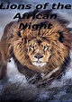 Lions of the African Night streaming: watch online