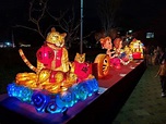 李宗瑞製花燈獲台北燈節特優 「學到人與人溝通技巧」 | 社會 | 中央社 CNA