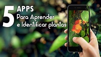 Top 5 apps para aprender e identificar plantas