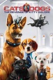 ‎Cats & Dogs: The Revenge of Kitty Galore (2010) directed by Brad ...