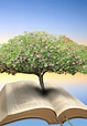 Tree of life bible. Photo of blossom tree growing out of bible ...