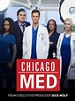 Poster Chicago Med - Affiche 335 sur 656 - AlloCiné