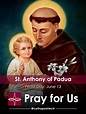 St. Anthony of Padua — Catholic Apostolate Center Feast Days