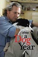 Image gallery for "A Dog Year (TV)" - FilmAffinity