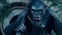 'El planeta de los simios' llega a los cines en su "amanecer"