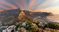 Everything You Need to Know about Table Mountain | City Pass Cape Town