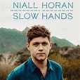 دانلود اهنگ Slow Hands از Niall Horan | طرفداری
