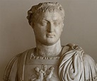 Domitian Biography - Childhood, Life Achievements & Timeline