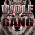 Wolf Gang Official Esports Team - YouTube