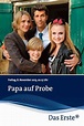 Papa auf Probe (2013) - Posters — The Movie Database (TMDb)