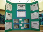 7Th Grade Science Fair Projects With Independent And Dependent Variables