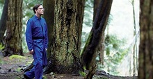 When a Man Falls in the Forest · Film 2009 · Trailer · Kritik