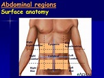 Anatomy 210 abdomen & pelvis for semester ii year 2012-2013