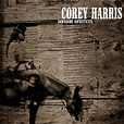 Downhome Sophisticate - Album by Corey Harris | Spotify