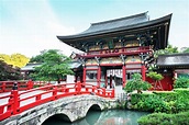(10ページ目)佐賀でおすすめの観光地まとめ：名所観光地一覧 - おすすめ旅行を探すならトラベルブック(TravelBook)